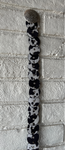 Circular Animal Print Belt